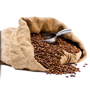 Coffee beans PNG image-9297